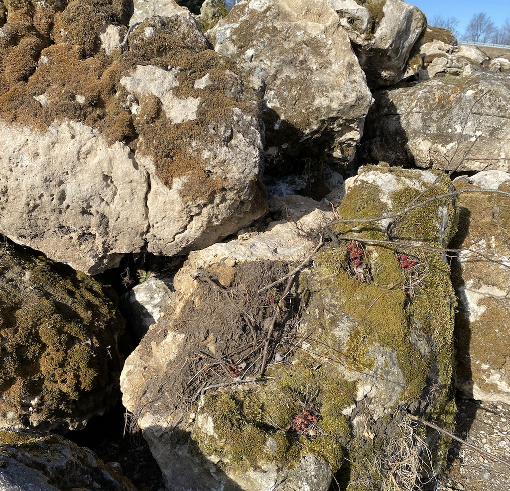 [DEC-FEA-SGO-01116] Large Moss Rock