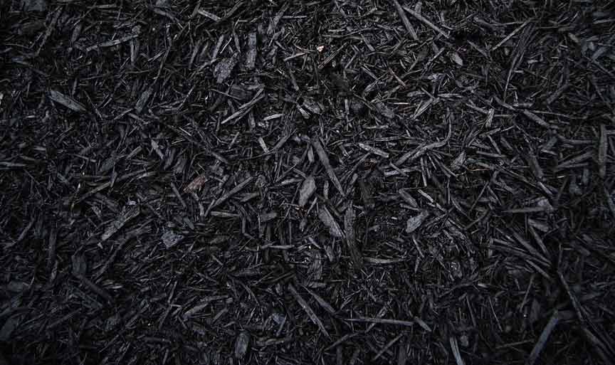 [BUL-MUL-SGO-00986] Black Mulch CLD Bag (2.5 cu. ft.)