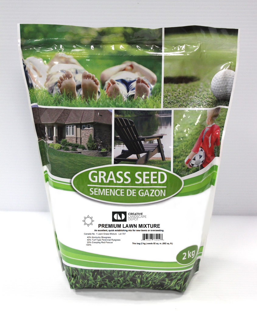 Grass Seed Grow Green