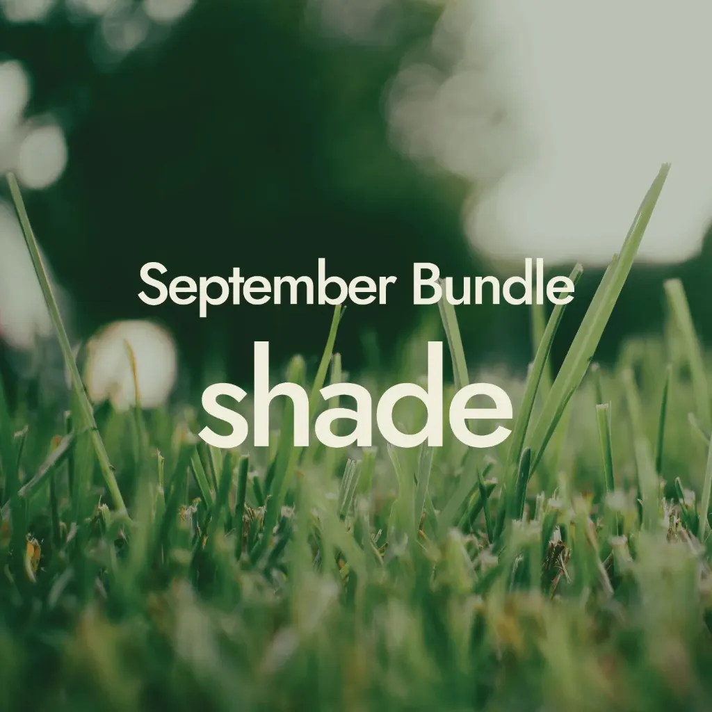 September Bundle - Shade