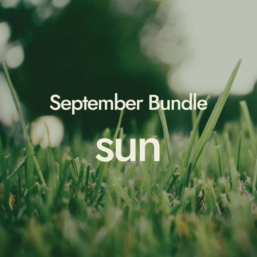 September Bundle - Sun